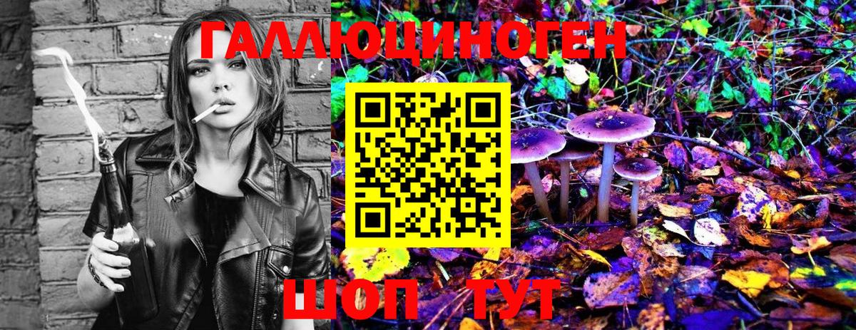 Галлюциногенные грибы MAGIC MUSHROOMS Электрогорск